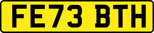 FE73BTH