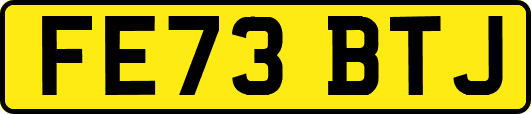 FE73BTJ