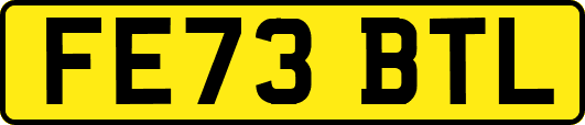 FE73BTL