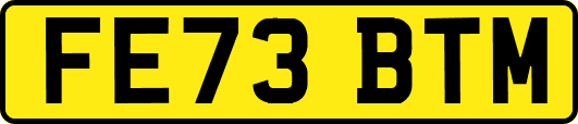 FE73BTM