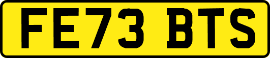 FE73BTS