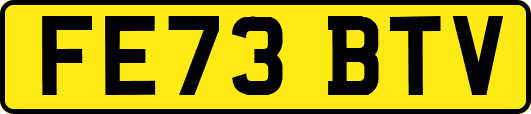 FE73BTV