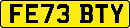 FE73BTY
