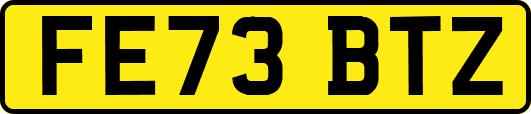 FE73BTZ