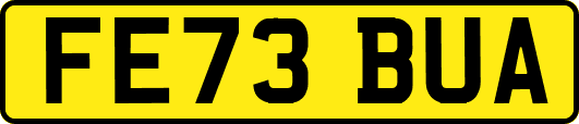 FE73BUA
