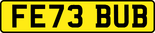FE73BUB