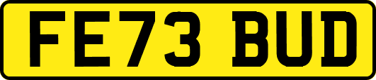 FE73BUD
