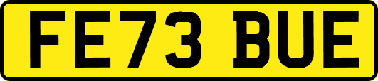 FE73BUE
