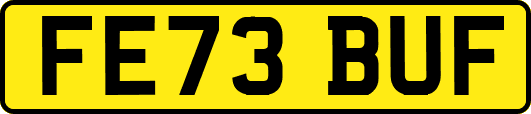 FE73BUF