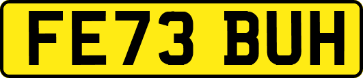 FE73BUH