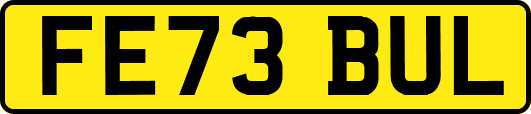 FE73BUL