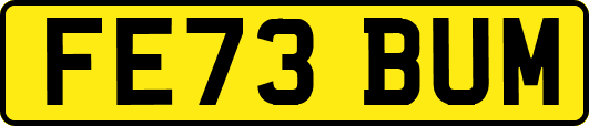 FE73BUM