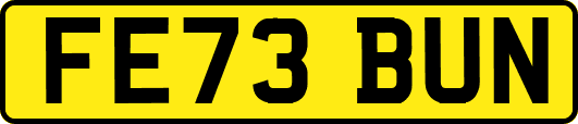 FE73BUN