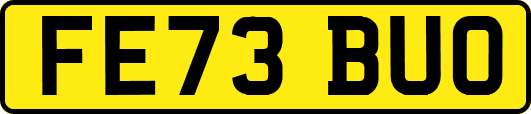 FE73BUO