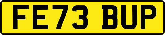 FE73BUP