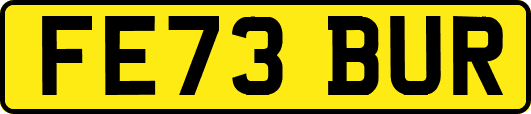 FE73BUR