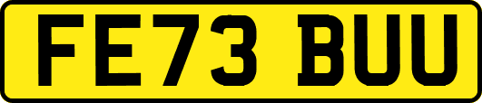 FE73BUU