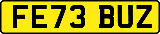FE73BUZ