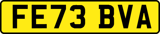 FE73BVA