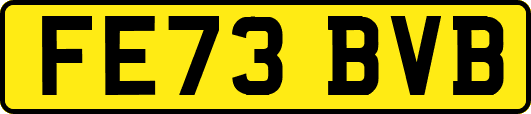 FE73BVB