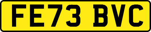 FE73BVC