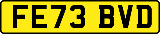 FE73BVD