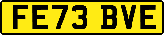 FE73BVE