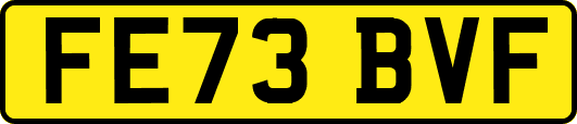 FE73BVF