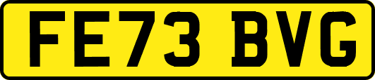 FE73BVG