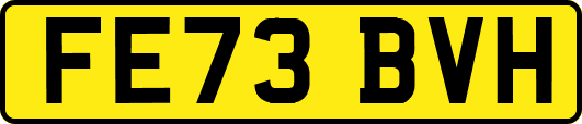 FE73BVH