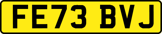 FE73BVJ