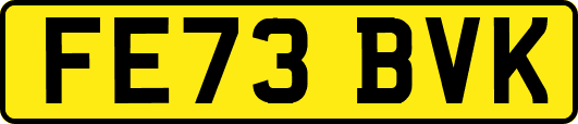 FE73BVK