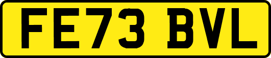 FE73BVL