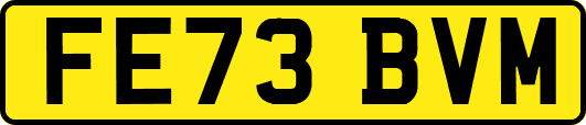 FE73BVM