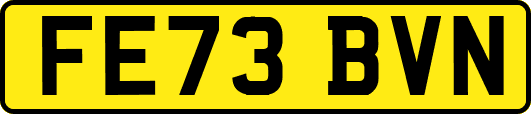 FE73BVN