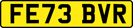 FE73BVR