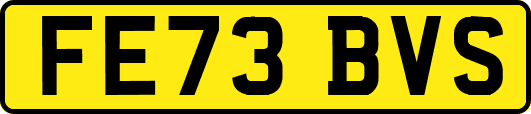 FE73BVS