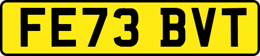 FE73BVT