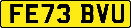 FE73BVU