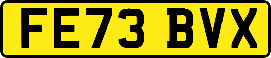 FE73BVX