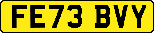 FE73BVY