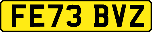 FE73BVZ