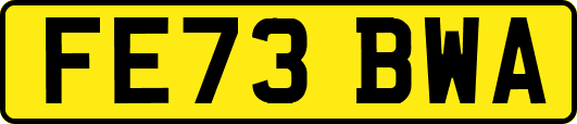 FE73BWA