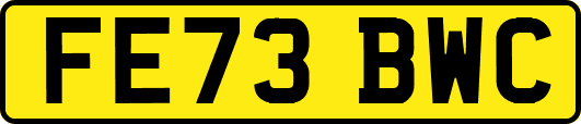 FE73BWC