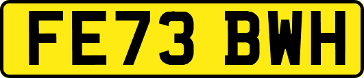FE73BWH