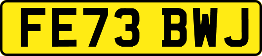FE73BWJ
