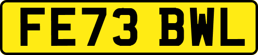 FE73BWL