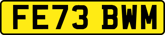 FE73BWM