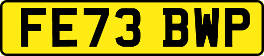 FE73BWP