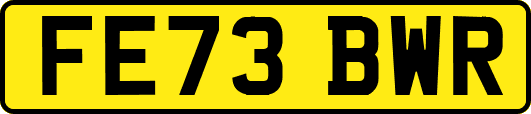 FE73BWR